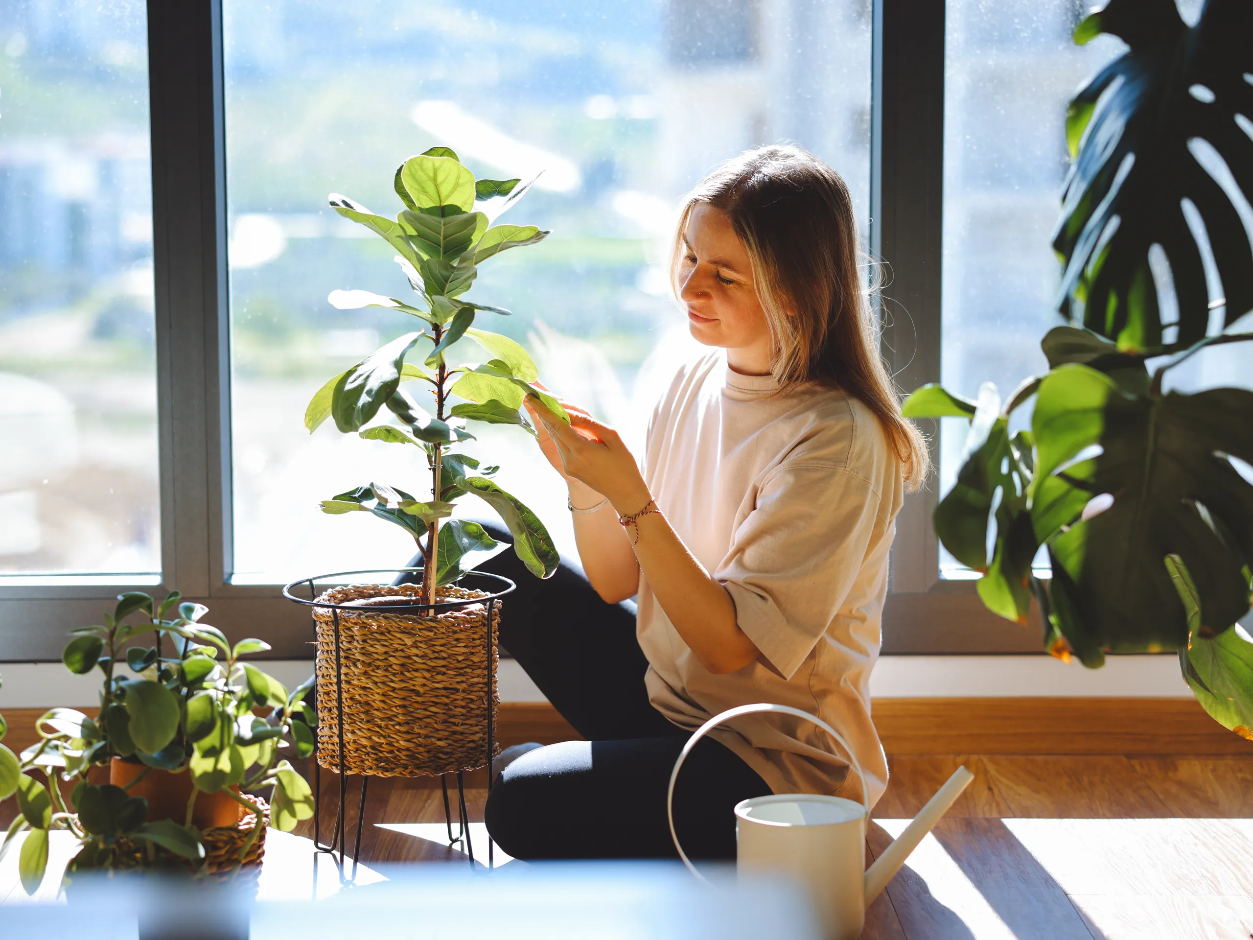 Frau pflegt eine Pflanze in einem sonnigen Raum