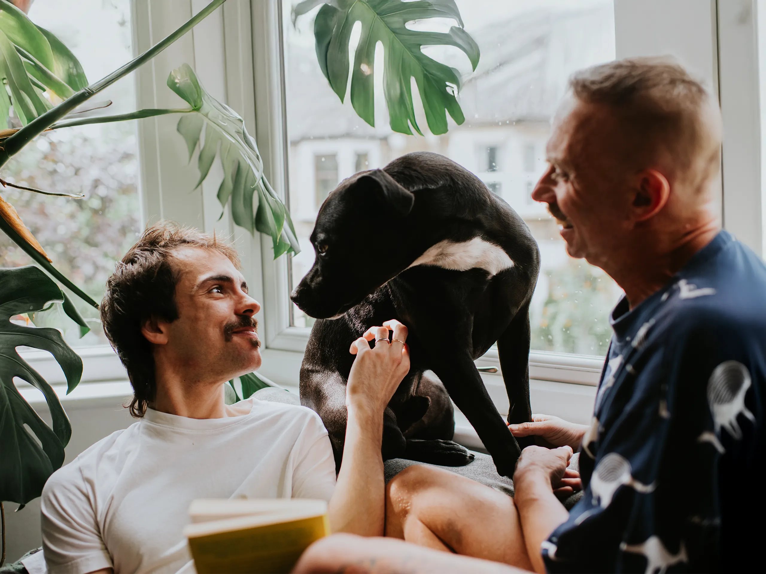 Zwei Männer verbringen Zeit mit Hund auf Fensterbank zwischen Pflanzen