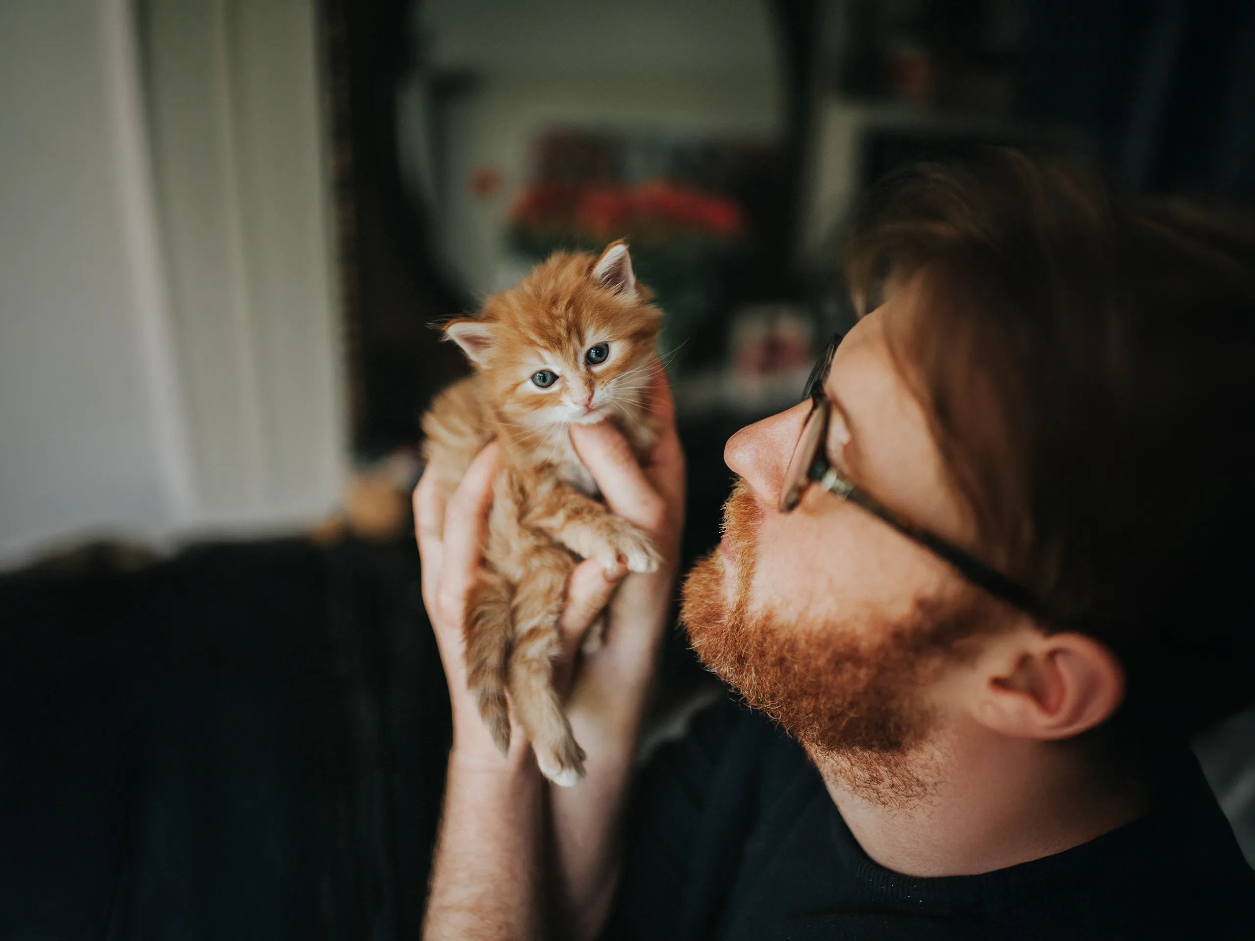 Mann mit Bart und Brille hält ein kleines rotes Kätzchen in beiden Händen.