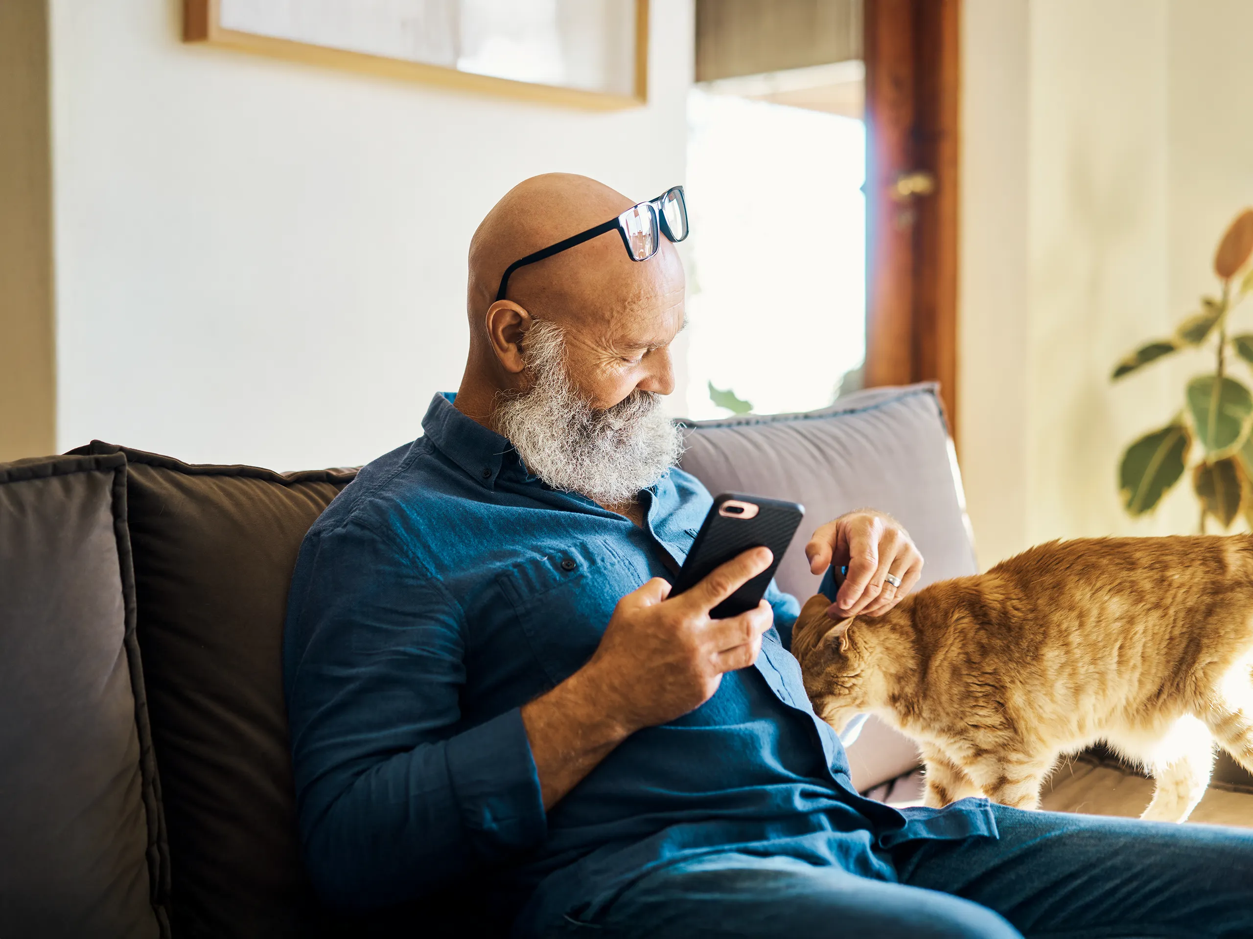 Älterer Mann mit Bart sitzt auf dem Sofa und streichelt eine rote Katze.