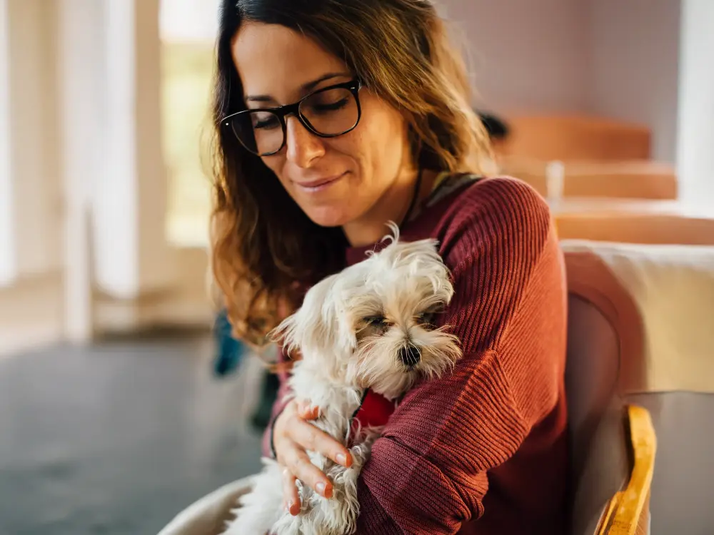 Frau mit Brille und braunen Haaren hält einen kleinen weißen Hund auf dem Arm.
