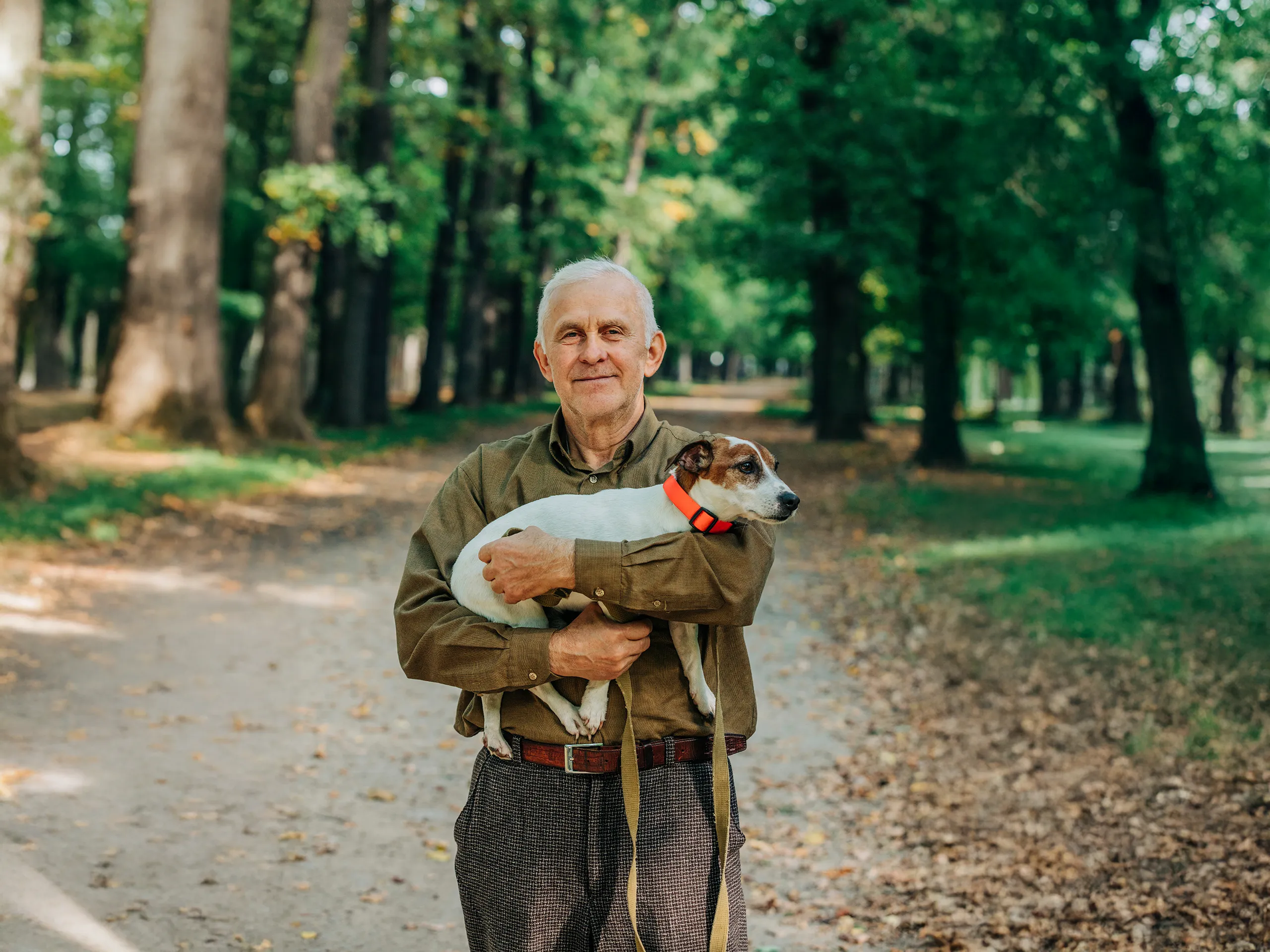 Älterer Mann hält Hund im Park.