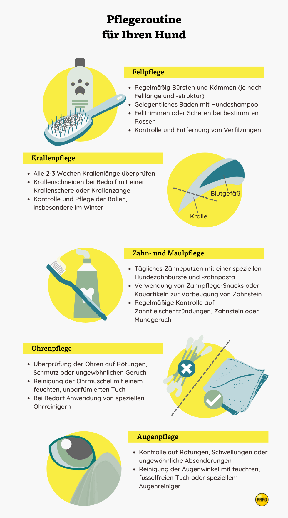 Pflegeroutine für Ihren Hund